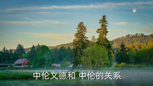  中倫文德和 中倫的關系