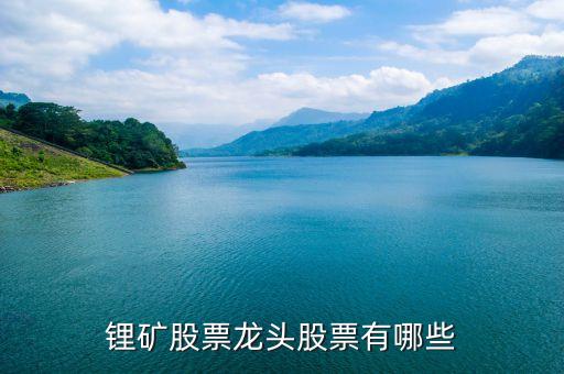 生產鋰礦的上市公司