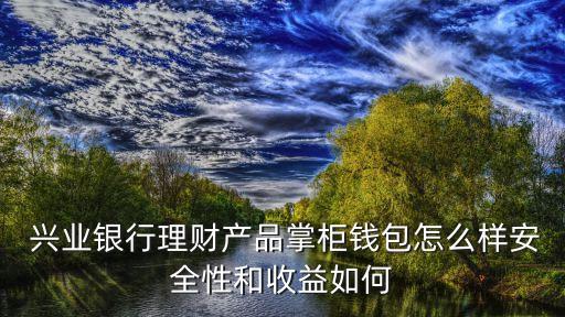  興業(yè)銀行理財(cái)產(chǎn)品掌柜錢(qián)包怎么樣安全性和收益如何