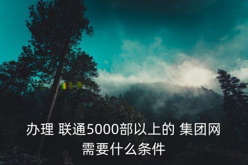 辦理 聯(lián)通5000部以上的 集團網(wǎng)需要什么條件