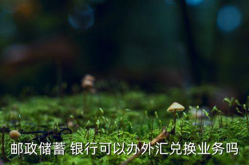 郵政儲蓄 銀行可以辦外匯兌換業(yè)務(wù)嗎