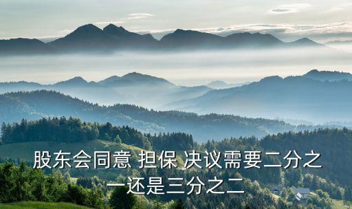 公司對外提供擔保的股東會決議,公司為實際控制人提供擔保,股東會決議需