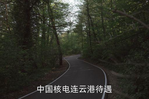 中國(guó)核電連云港待遇