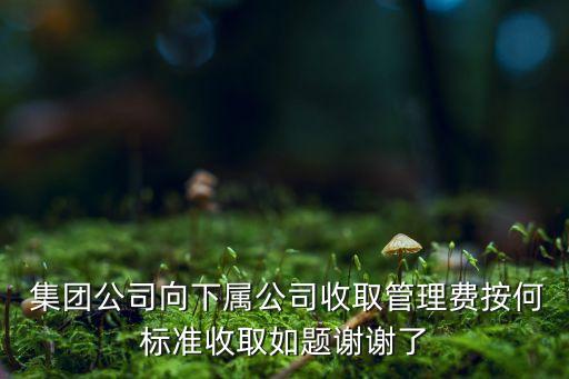 集團(tuán)費用分?jǐn)?集團(tuán)研發(fā)費用分?jǐn)?/></a></span><span id=