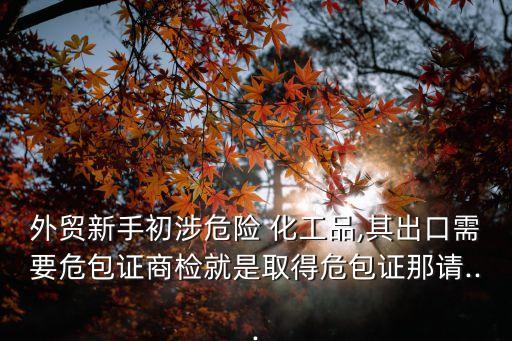 上?；ぱ芯吭簷z測中心委托書,天津化工研究院檢測中心