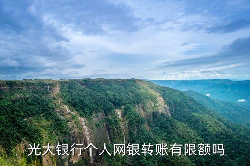  光大銀行個人網(wǎng)銀轉賬有限額嗎