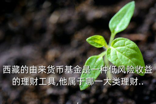 西藏的由來貨幣基金是一種低風險收益的理財工具,他屬于哪一大類理財...
