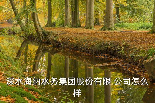 深水海納水務(wù)集團股份有限 公司怎么樣