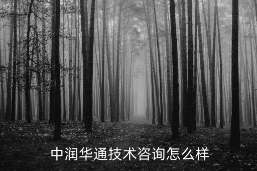  中潤(rùn)華通技術(shù)咨詢(xún)?cè)趺礃? class=