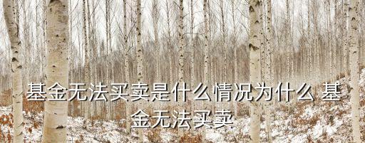  基金無(wú)法買賣是什么情況為什么 基金無(wú)法買賣