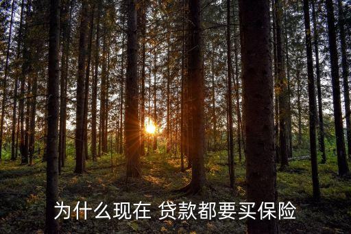 為什么現(xiàn)在 貸款都要買保險(xiǎn)