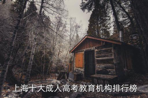  上海十大成人高考教育機構排行榜