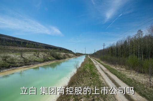  立白 集團有控股的上市公司嗎