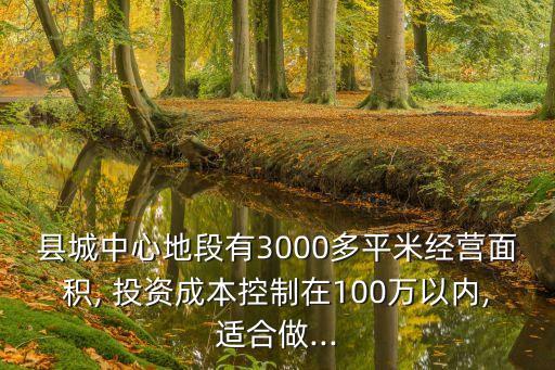 縣城中心地段有3000多平米經(jīng)營(yíng)面積, 投資成本控制在100萬(wàn)以?xún)?nèi),適合做...