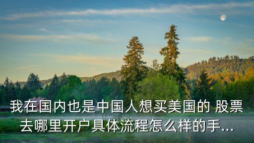 我在國(guó)內(nèi)也是中國(guó)人想買美國(guó)的 股票去哪里開(kāi)戶具體流程怎么樣的手...