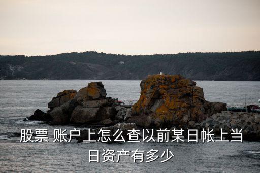  股票 賬戶上怎么查以前某日帳上當日資產(chǎn)有多少