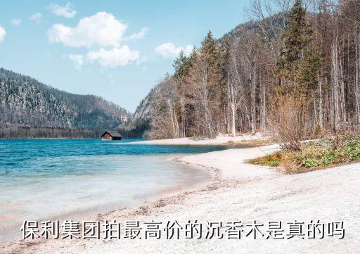 2012北京保利秋拍,北京保利秋拍中國書畫夜場(chǎng)成交結(jié)果