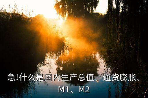 急!什么是國內(nèi)生產(chǎn)總值、通貨膨脹、M1、M2