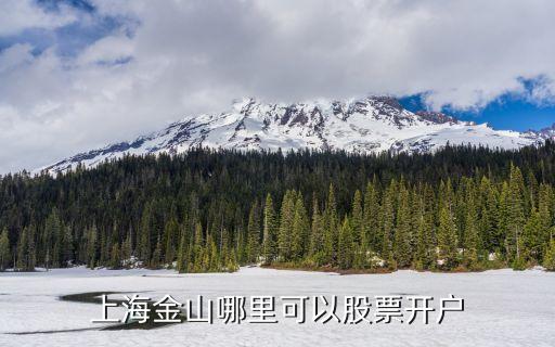 上海金山哪里可以股票開(kāi)戶