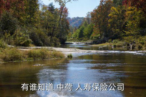 中荷人壽銀行客戶(hù)經(jīng)理