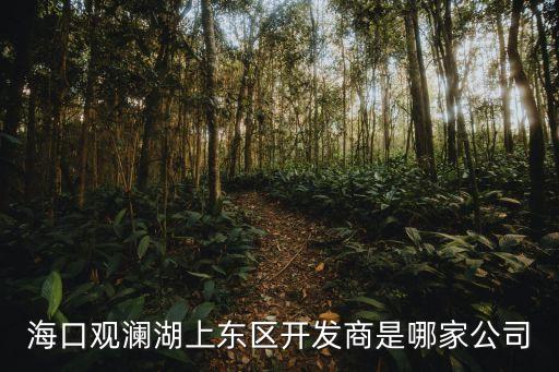 ?？谟^瀾湖上東區(qū)開發(fā)商是哪家公司