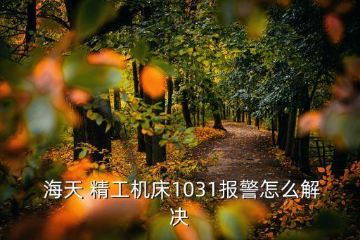  海天 精工機(jī)床1031報警怎么解決