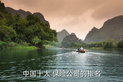 中國十大 保險公司的排名