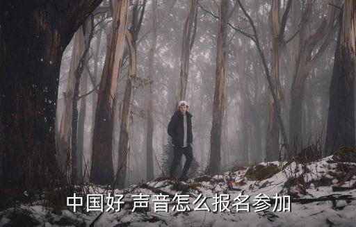 中國(guó)好聲音報(bào)名費(fèi)40萬(wàn)