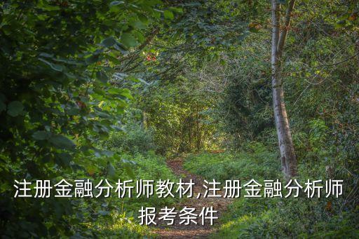 中國注冊(cè)金融分析師教材,注冊(cè)金融分析師報(bào)考條件