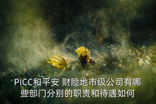 PICC和平安 財(cái)險(xiǎn)地市級(jí)公司有哪些部門(mén)分別的職責(zé)和待遇如何
