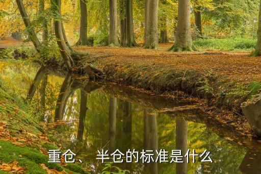 重倉、 半倉的標(biāo)準(zhǔn)是什么