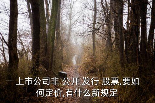 非公開(kāi)發(fā)行股票價(jià)格低于現(xiàn)價(jià)