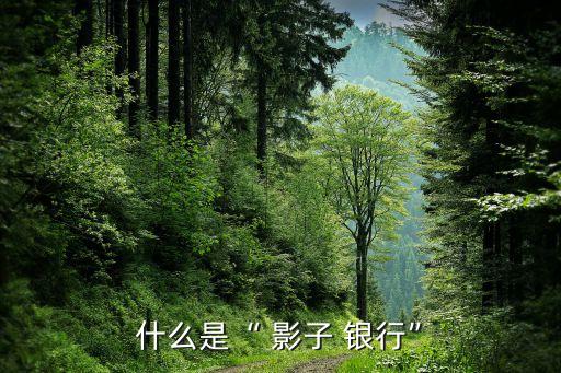 銀行的影子,銀行影子業(yè)務(wù)也會引起銀行負(fù)債規(guī)模的擴(kuò)大