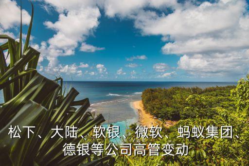松下、大陸、軟銀、微軟、螞蟻集團(tuán)、 德銀等公司高管變動(dòng)