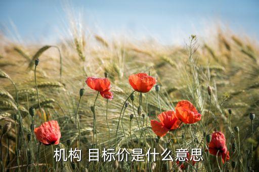 機構(gòu) 目標(biāo)價是什么意思