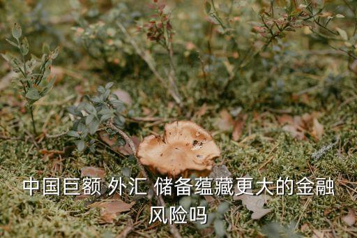 中國(guó)巨額 外匯 儲(chǔ)備蘊(yùn)藏更大的金融風(fēng)險(xiǎn)嗎