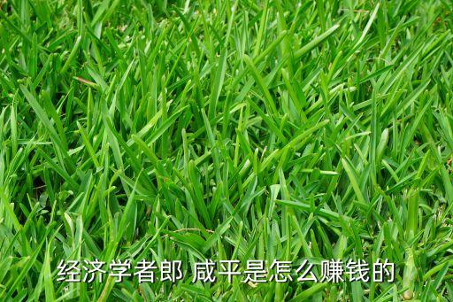 經(jīng)濟學者郎 咸平是怎么賺錢的