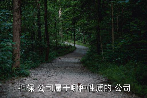  擔保 公司屬于哪種性質(zhì)的 公司