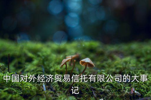 中國對外經(jīng)濟貿易信托有限公司的大事記