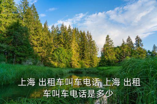  上海 出租車(chē)叫車(chē)電話 上海 出租車(chē)叫車(chē)電話是多少