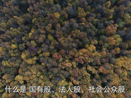 什么是 國有股、法人股、社會公眾股