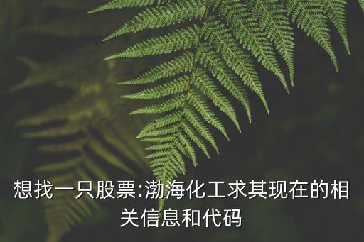 想找一只股票:渤?；で笃洮F(xiàn)在的相關(guān)信息和代碼