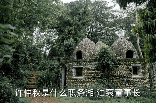 許仲秋是什么職務湘 油泵董事長