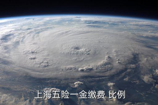  上海五險一金繳費(fèi) 比例