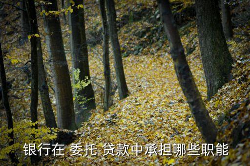為什么要銀行委托貸款,委托貸款逾期對銀行的影響