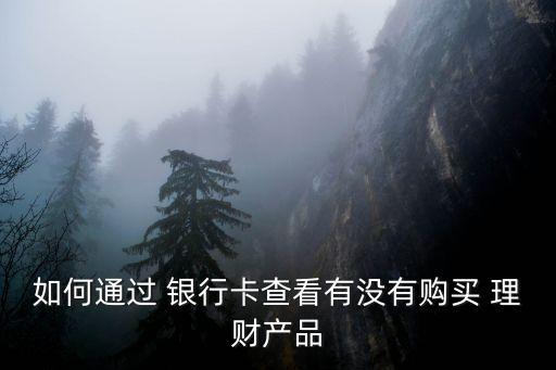 如何通過(guò) 銀行卡查看有沒(méi)有購(gòu)買(mǎi) 理財(cái)產(chǎn)品