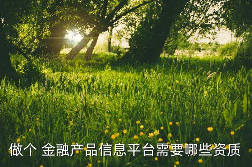 做個 金融產(chǎn)品信息平臺需要哪些資質