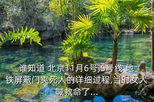 誰知道 北京11月6號,5號線 地鐵屏蔽門夾死人的詳細(xì)過程,當(dāng)時女人喊救命了...