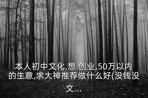 本人初中文化,想 創(chuàng)業(yè),50萬(wàn)以內(nèi)的生意,求大神推薦做什么好(沒(méi)錢沒(méi)文...