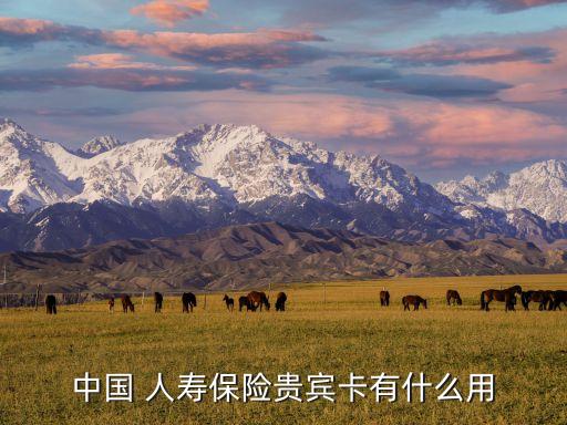 中國 人壽保險貴賓卡有什么用